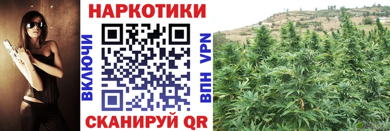 Где можно купить наркотики Малоярославец ГАШ СК Псилоцибиновые грибы COCAIN МЕФ