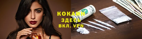 мяу мяу мука Белокуриха