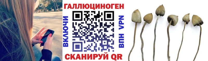 МЕГА ССЫЛКА  даркнет сайт  Малоярославец  Псилоцибиновые грибы ЛСД 