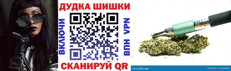 Каннабис планчик  Малоярославец 